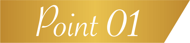 Point 01