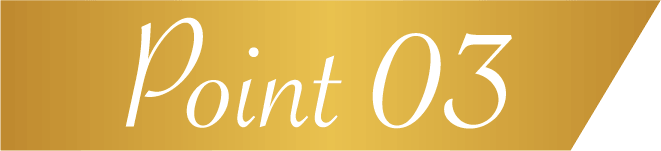 Point 03