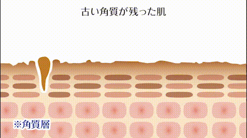 Nature Conc(ネイチャーコンク)