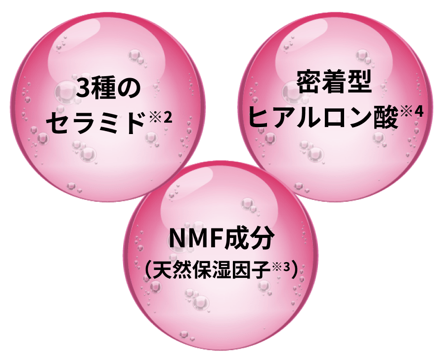 3種のセラミド※2 / 密着型ヒアルロン酸※4 / NMF成分（天然保湿因子※3）
