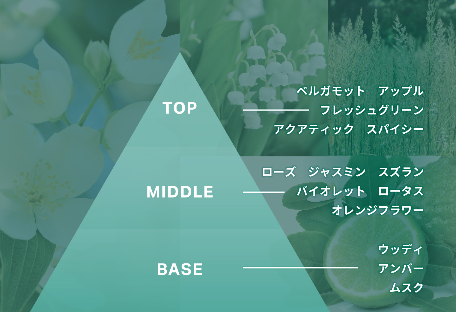 みずみずしいホワイトフローラルの香り