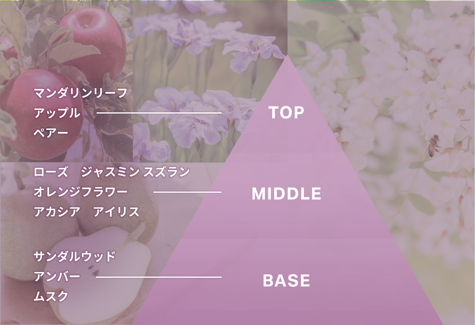 やわらかいピンクフローラルの香り