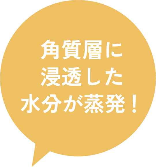 角質層に浸透した水分が蒸発！