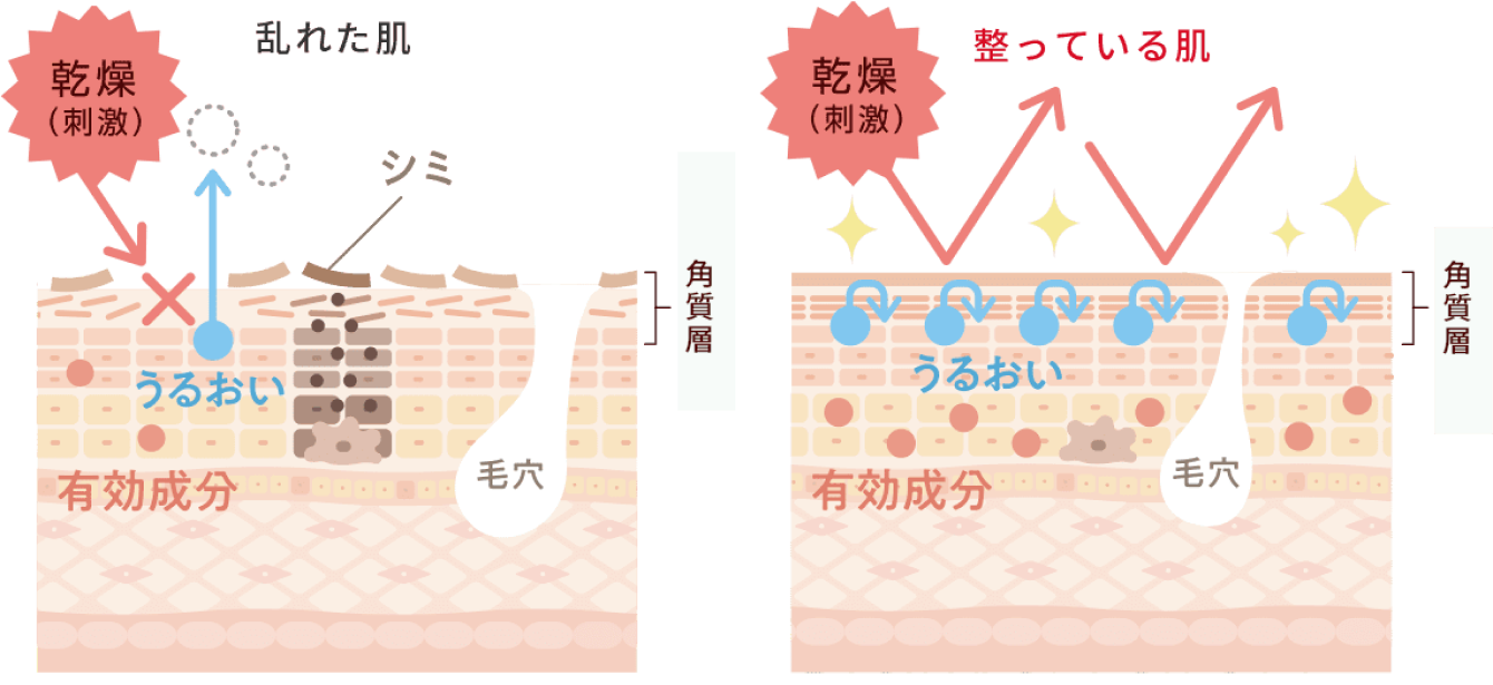 乱れた肌図と整っている肌図