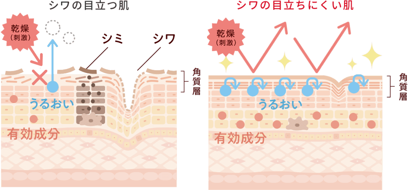 シワの目立つ肌図とシワの目立ちにくい肌図