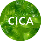 CICA